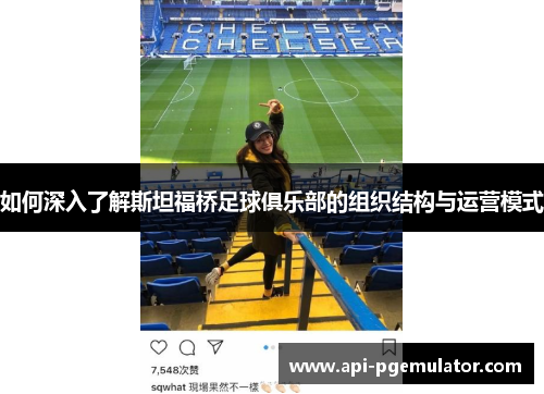 如何深入了解斯坦福桥足球俱乐部的组织结构与运营模式 如何深入了解斯坦福桥足球俱乐部的组织结构与运营模式