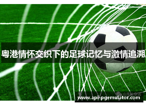 粤港情怀交织下的足球记忆与激情追溯 粤港情怀交织下的足球记忆与激情追溯