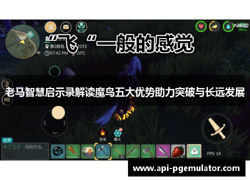 老马智慧启示录解读魔鸟五大优势助力突破与长远发展 老马智慧启示录解读魔鸟五大优势助力突破与长远发展