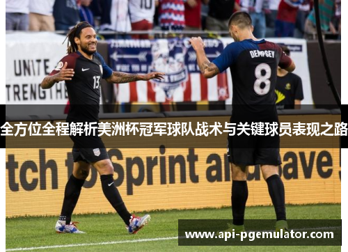 全方位全程解析美洲杯冠军球队战术与关键球员表现之路