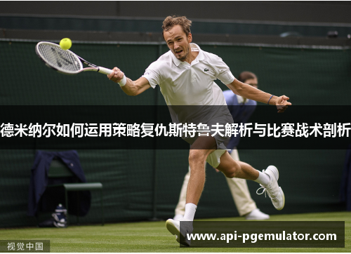 德米纳尔如何运用策略复仇斯特鲁夫解析与比赛战术剖析 德米纳尔如何运用策略复仇斯特鲁夫解析与比赛战术剖析